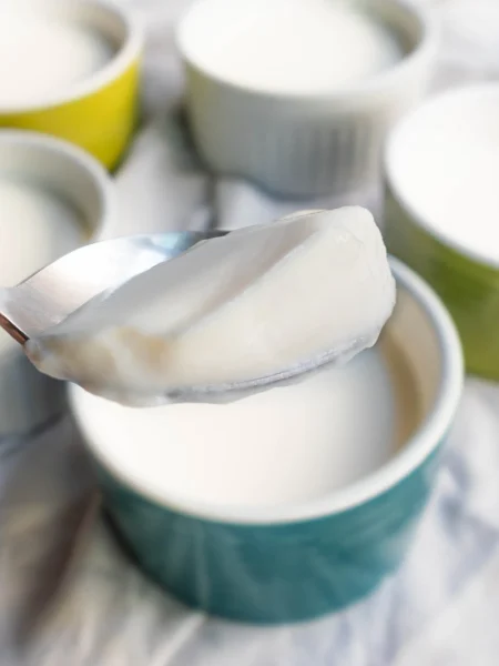 Sữa chua • Vietnamese-style yogurt