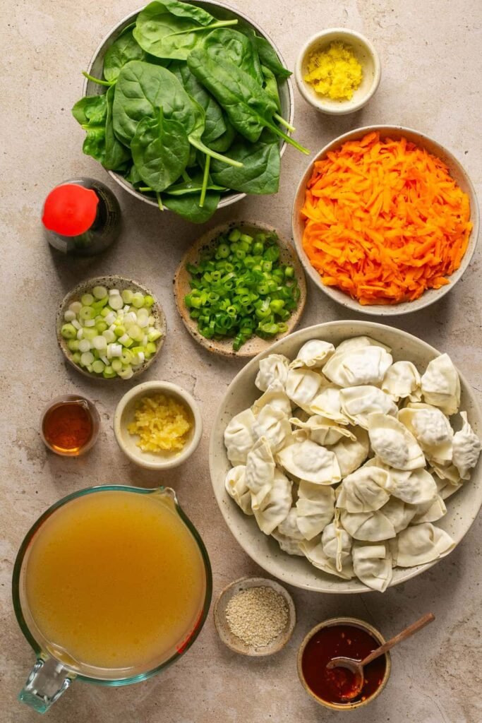 Wonton Soup Recipe