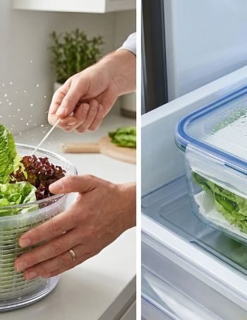 How to Avoid Lettuce Turning Brown