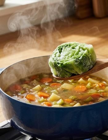 Lettuce Can Be Frozen