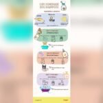 How To Make Homemade Pet Shampoo