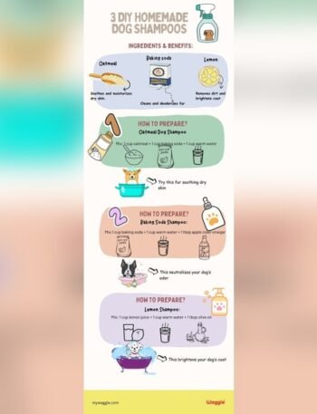 How To Make Homemade Pet Shampoo