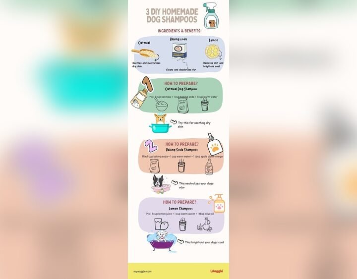 How To Make Homemade Pet Shampoo