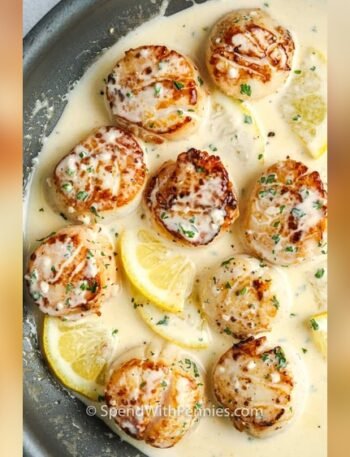 Seared Scallops In Lemon Wine Sauce