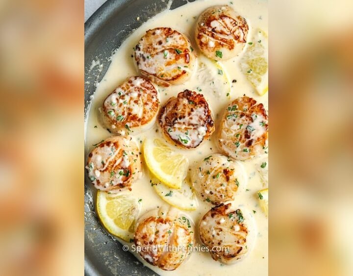 Seared Scallops In Lemon Wine Sauce