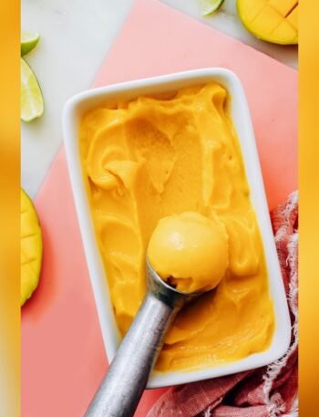 Healthy Mango Sorbet Recipe