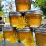 How To Make Dandelion Jelly: An Easy Homemade Jelly Recipe For Beginners