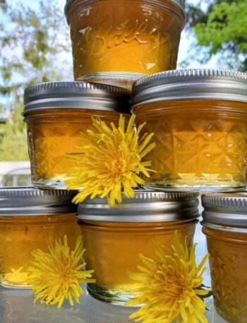 How To Make Dandelion Jelly: An Easy Homemade Jelly Recipe For Beginners