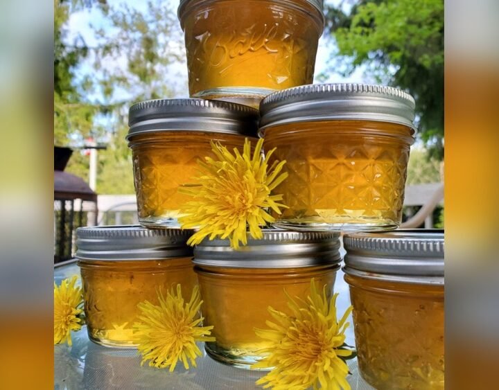 How To Make Dandelion Jelly: An Easy Homemade Jelly Recipe For Beginners